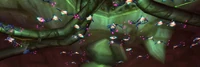 Image of Toxic Sporebat