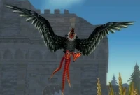 Image of Young Mesa Buzzard