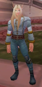 Image of Dalaran Citizen