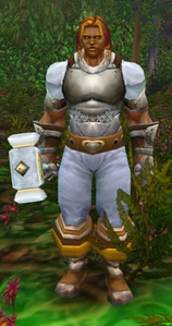 Image of Delgren the Purifier