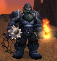 Image of Thorium Brotherhood Lookout