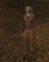 Image of Theramore Infiltrator