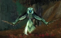 Image of Ironbeak Screecher