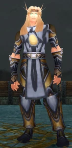 Image of Helidan Lightwing