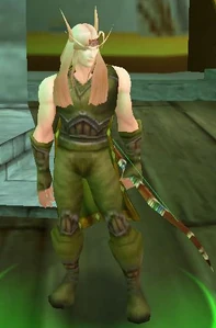 Image of High Elf Ranger