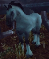 Image of Captured Stallion