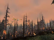 The Howling Fjord burns.  Note how the drakes are white.  What are Proto-dragons?