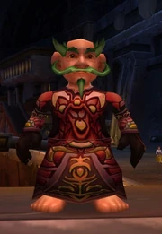 Gnome Mage wearing and showing Wrath of Spellfire front and back."