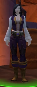 Image of Stormwind Commendation Officer