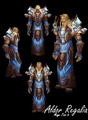 "Aldor Regalia" worn by a Human.