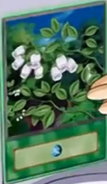 File:InsectGarden-EN-Anime-GX.png