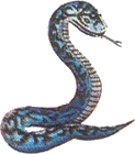 Artwork of a Rope from The Legend of Zelda