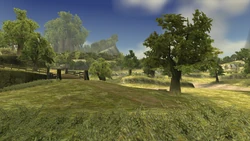 Hyrule Field from Twilight Princess
