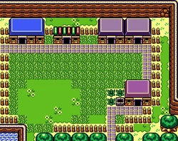Animal Village