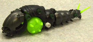 Darkmolga.jpg