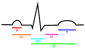 Cardiac electrophysiology - Psychology Wiki