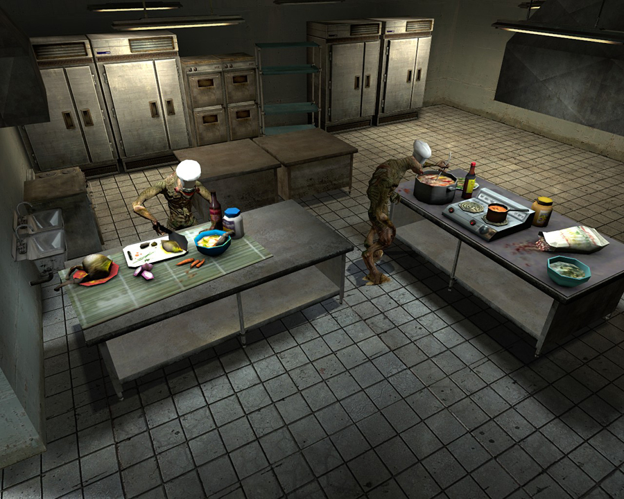 http://images1.wikia.nocookie.net/__cb20090111174952/half-life/en/images/2/28/Bm_kitchens.jpg