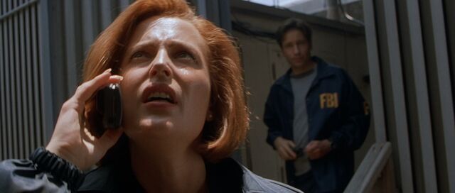 http://images1.wikia.nocookie.net/__cb20090206160450/x-files/images/thumb/0/05/Fox_Mulder%27s_practical_joke_on_Dana_Scully.jpg/640px-Fox_Mulder%27s_practical_joke_on_Dana_Scully.jpg