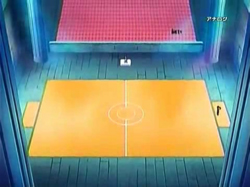 http://images1.wikia.nocookie.net/__cb20090407215443/es.pokemon/images/a/a8/Campo_Gimnasio_Coraz%C3%B3n.jpg