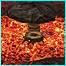 IZ30.png