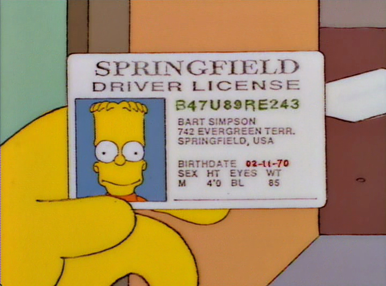 Bart-on-the-road.jpg