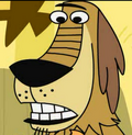 Dukey - Johnny Test Wiki