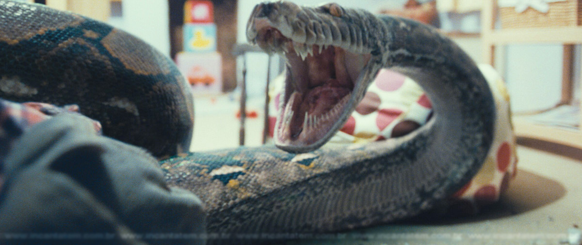 Nagini - Harry Potter Wiki