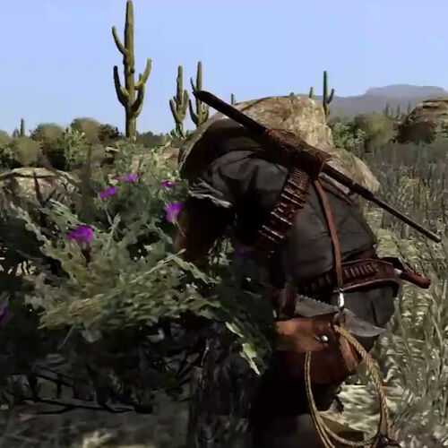 Desert Sage - Red Dead Redemption Wiki