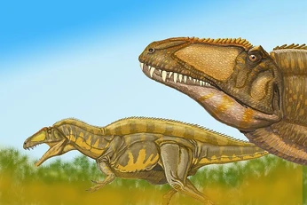 acrocanthosaurus - dinopedia  