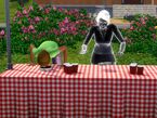 Les Sims 3 Saisons 40