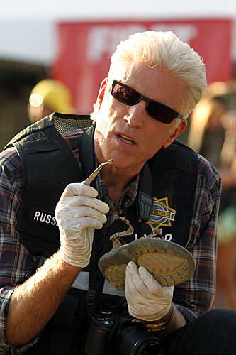 D.B. Russell - CSI