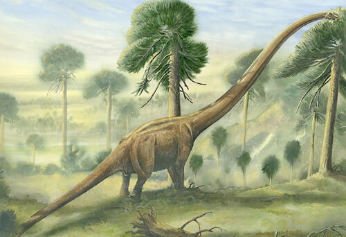 Mamenchisaurus - Animal of the world Wiki