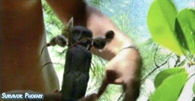 S16E04 Hidden Immunity Idol