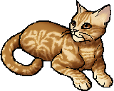 Speckletail - Warrior Cats Wiki - Erin Hunter, The Blazing Star, Dawn ...