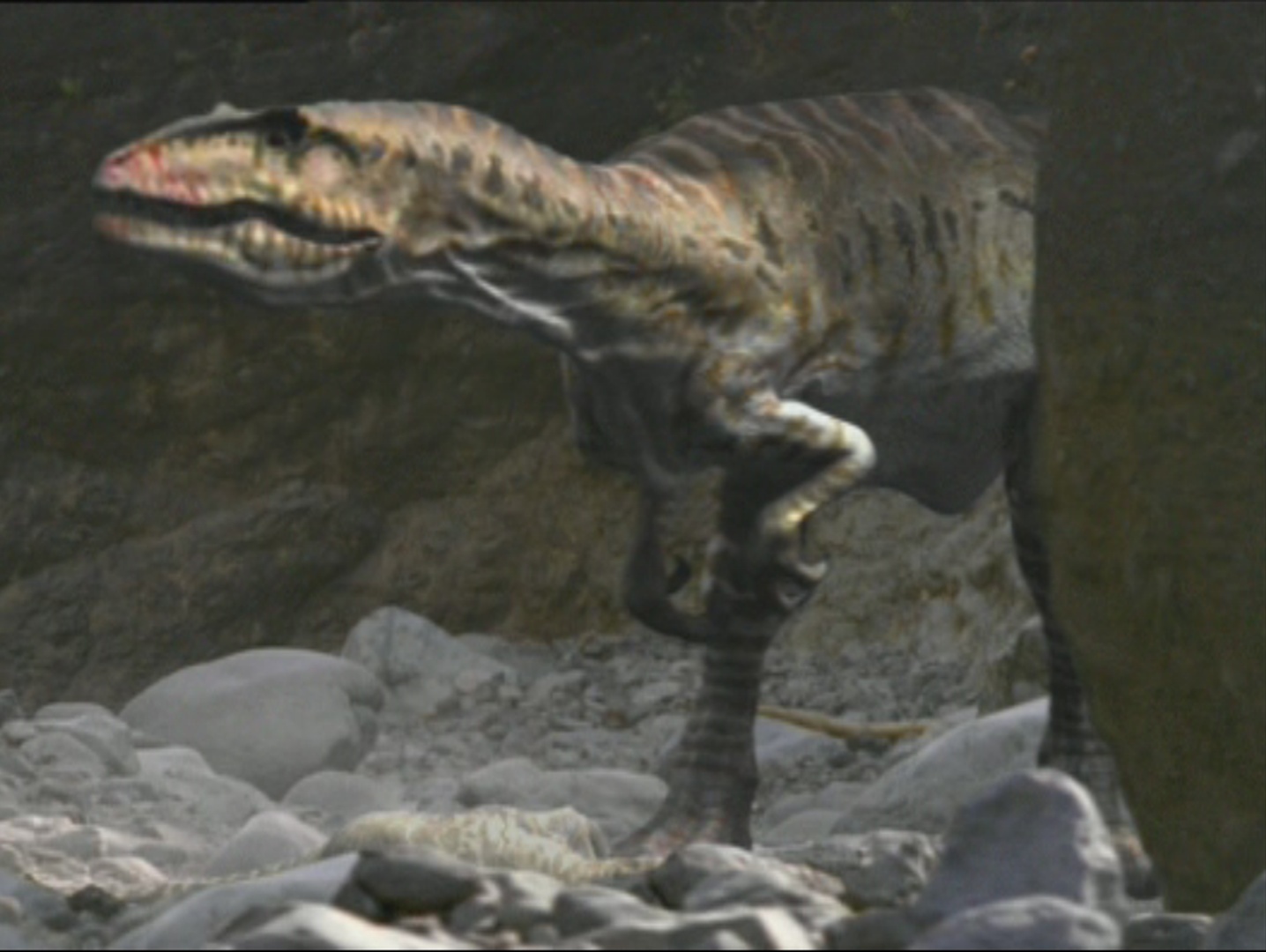 тарбозавр вики фэндом фото 36