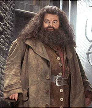 Hagrid1.jpg