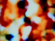 Medusan - NonHumanoid NonCorporeal Humanoid Interacting - Shown on Federation Council