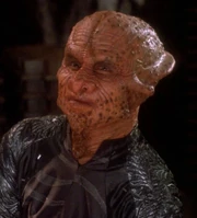 Dopterian - Human Special Ferenginoid - Independent