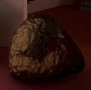 Coalescent organism - NonHumanoid NonCorporeal - Quarantined